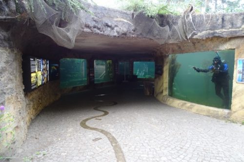 Zoo Wrocław Odrarium
